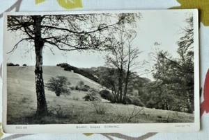 Postcard Boxhill Slopes Dorking RP Reigate area - Picture 1 of 2