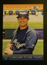 2017 Grandstand, Lakeland Flying Tigers - DAVID GONZALEZ - Venezuela