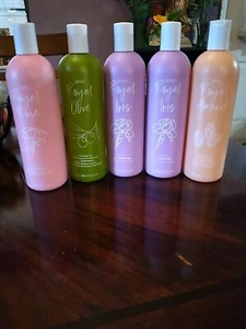Jafra Royal Almond Body Oil Aceites Almond/Iris/olive/Rose Cuerpo 16.9oz/500ml - Picture 1 of 6