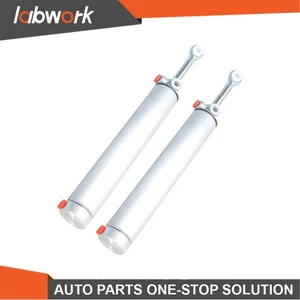 Labwork Top Piston Hydraulic Lift Cylinder ×2 For 1999-2004 Mustang Convertible - Picture 1 of 18