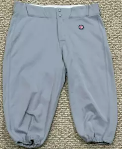 SWANSON 33-39-18 2024 CHICAGO CUBS GAME USED PANTS ROAD GRAY ISSUED RIPPED - Picture 1 of 11