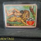 1966 Philadelphia Tarzan  Carte gomme #52 King Against King - B