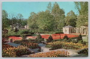 Post Card Tulips Kingwood Center Mansfield, Ohio F365 - Picture 1 of 2