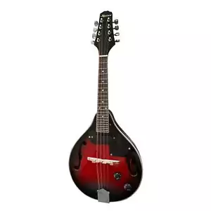Karrera 8-String Electric Mandolin - Picture 1 of 10
