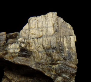 ENSTATITE var. BRONZITE - Austria - ALPS - Styria - Kraubath an der Mur /pl736 - Picture 1 of 10