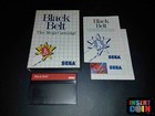 JUEGO SEGA MASTER SYSTEM  BLACK BELT (GERMAN VERSION!) LEER/READ!