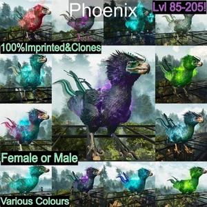 ASA🦖Ark Survival Ascended Pve Phoenix High LVL Imprinted and Clones - Picture 1 of 35