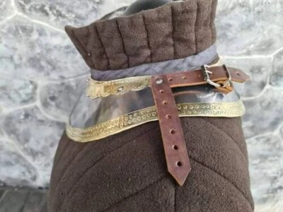 Gorget Armor SCA LARP Guerrero Recreación Húsar Fantasía medieval Juegos con disfraces Foto 1 de 4