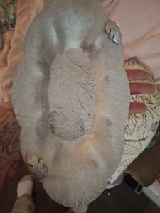 Bandeja de crisantemo ovalada de aluminio forjado a mano Continental vintage #572.  13"x8" - Imagen 1 de 4