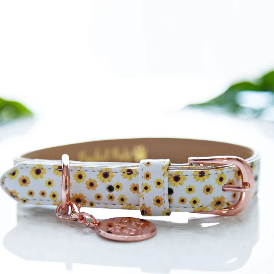 Sunflower Vegan Dog Collar PU Fake Leather Gold Buckle Hardware Puppy Matching - Image 1 of 4