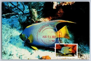 #5713i Marine Sanctuaries Queen Angelfish FDC Maxi Card w/Pre FDOI Cancel - Picture 1 of 2