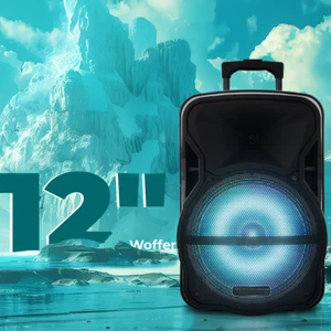 Haut-parleur de fête Bluetooth portable 3000 W 12" caisson de basses système audio trépied micro FM AUX - Photo 1 sur 11