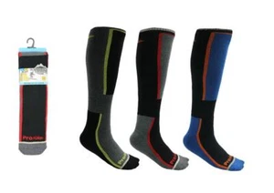 Ladies Assorted Long Leg Pro Hike High Performance Thermal Ski Socks UK 6-11 - Picture 1 of 2