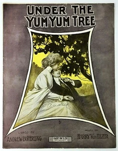 Under The Yum Yum Tree Sheet Music Piano Sterling Von Tilzer 1910 Antique Vtg - Picture 1 of 4