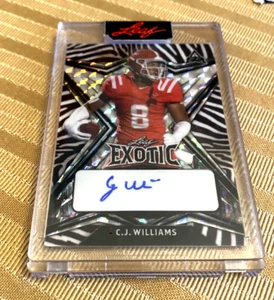 2022 Leaf Exotic CJ Williams Rookie RC Auto Zebra #'d /7 WISCONSIN BADGERS SSP - Picture 1 of 2