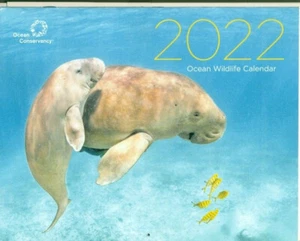 COLLECTIBLE CALENDAR-2022-OCEAN CONSERVANCY-JELLYFISH-SEA LION-BARRACUDA-PENGUIN - Picture 1 of 2