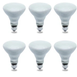 Replacement for 65BR30/FL55 120V (for PHILIPS) and others - 6 Pieces - Picture 1 of 5
