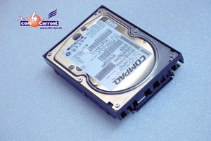 36 GB 80-POL Compaq Hard Drive BD036635C5 180726-003 MAJ3364MC SCSI HDD #K364 - Picture 1 of 1