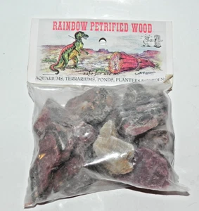 Rainbow Petrified Wood assortment - Free Ship! - Picture 1 of 7