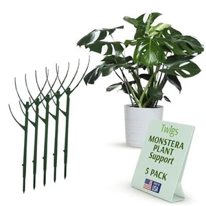 Stackable Monstera Plant Support Stakes, Climbing Plants Support Structures - Picture 1 of 7
