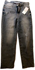 Pantalones de mezclilla de tiro alto con etiquetas Wallflower The Flirty Curvy, talla 3/26 R Alpine Fade - Imagen 1 de 7