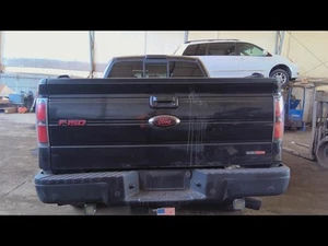 Driver Sun Visor Illuminated Fits 10-14 FORD F150 RAPTOR 6556330 - Picture 1 of 12