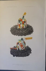 Zuni Pueblo Art Warrior Mask Salimobiya Of The Zenith New Mexico 1904 Lithograph - Picture 1 of 1