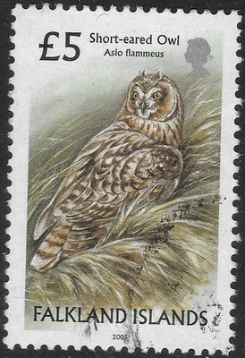 FALKLAND Is. 2003. £5.  SHORT-EARED OWL, FINE USED.  SG. 965.     (E849) - Image 1 of 2