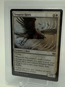 Tempest Hawk 0031 -  Magic The Gathering Tarkir - Picture 1 of 2