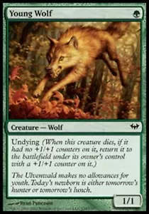 1x YOUNG WOLF - Rare - Dark Ascension - MTG - NM - Magic the Gathering - Picture 1 of 1