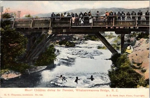 NEW ZEALAND MAORI CHILDREN DIVING FOR PENNIES WHAKAREWAREA BRIDGE OLD POSTCARD - Picture 1 of 2