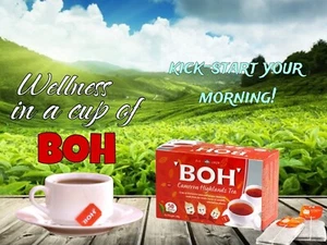 NEW BOH Cameron Highlands Tea - 50 tea bags - Picture 1 of 2