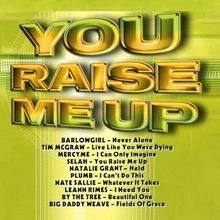 You Raise Me Up Cd von VARIOUS | CD | Zustand sehr gut - Bild 1 von 2