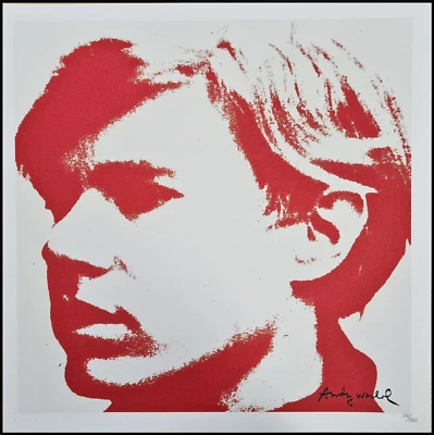ANDY WARHOL * Self Portrait* lithograph * 50x50 cm*limited # 336/500 CMOA signed - Bild 1 von 4