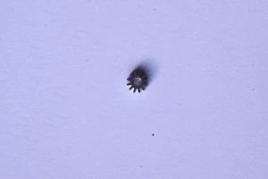 Longines 290 291 part 450 Renvoir Setting wheel Rinvio NOS - Picture 1 of 1