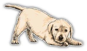 Labrador Retriever Puppy Car Bumper Sticker Decal 6'' x 3'' - Picture 1 of 1