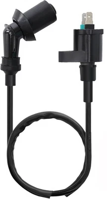 Bobina de encendido para Arctic Cat 50 90 350 366 400 DVX TRV utilitario 2006-2013 Foto 1 de 3