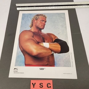 Sid WWF 1995 foto promozionale originale 8x10 P-303 vintage wrestling da collezione WWE - Foto 1 di 6
