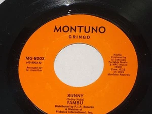 Yambu:  Sunny / Caballo  [ NEW STORE STOCK Copy] - Imagen 1 de 2