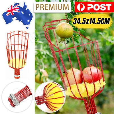 Fruit Picker Basket Extension Pole Tool for Picking Fresh Orange PeachFruit - image 1 of 4