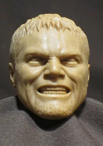 # V-54 Michael Shannon GENERAL ZOD SUPERMAN CUSTOM RESIN HEAD SCULPT 1/6 scale. - Picture 1 of 3