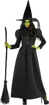 Deluxe Womens Wicked Witch Costume Ladies Theodora Oz Halloween Costume XS - 3XL - Image 1 of 4