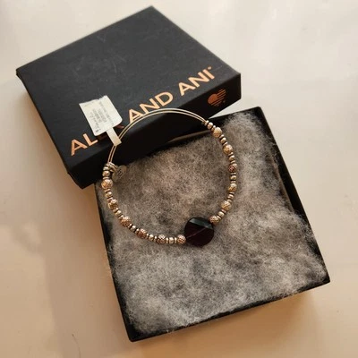 Pulsera círculo completo Alex and Ani Foto 1 de 4