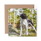 1 x Blank Greeting Card English Pointer Dog Puppy Dogs #52828