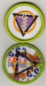 Distintivo Merito Odontoiatria, Tipo K, Retro "BSA 2010" (2010-12), Come Nuovo! - Foto 1 di 1