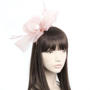 Pale pink large fascinator looped net and feather - Picture 1 of 4