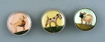 PICTURE BUTTON FOR DOG LOVERS - SET OF 3 - Image 1 of 4