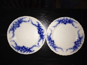 1900s Burgess & Leigh Burslem Semi-pocelain England DISH PLATE Daisy Flow Blue ? - Picture 1 of 8