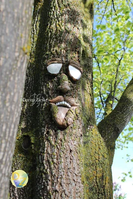 Groovy Garcia - Cara de árbol de hormigón - Gafas de sol metálicas de 4 colores, arte de patio, Gard Foto 1 de 4