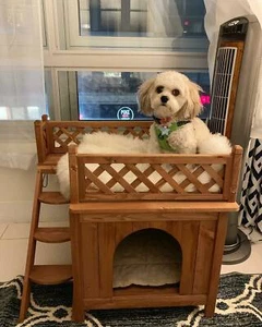 Puppy Dog Houses Small Pet Puppy Kitten Heavy Duty Wood Indoor Ladder Balcony - Picture 1 of 5